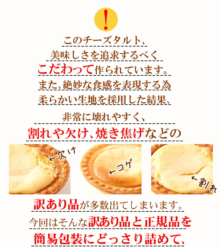 濃厚 チーズタルト (1kg) 個包装 チーズケーキ 常温保存 訳あり お菓子 焼き菓子 人気 ホワイトデー 小分け 業務用 文化祭 学園祭 お菓子 タルト チーズ 常温