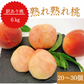【訳あり大特価】桃 約6kg(20〜30玉) 山梨県産 家庭用【予約/6月中旬〜9月上旬順次出荷】