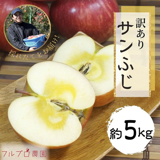 サンふじ 訳あり 約5kg 12-25玉＃YAF0B050