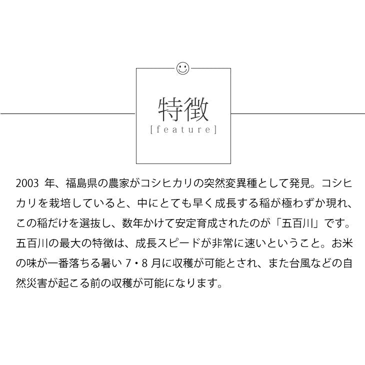 【新米】五百川30ｋｇ農薬が少ないお米令和4年埼玉県産