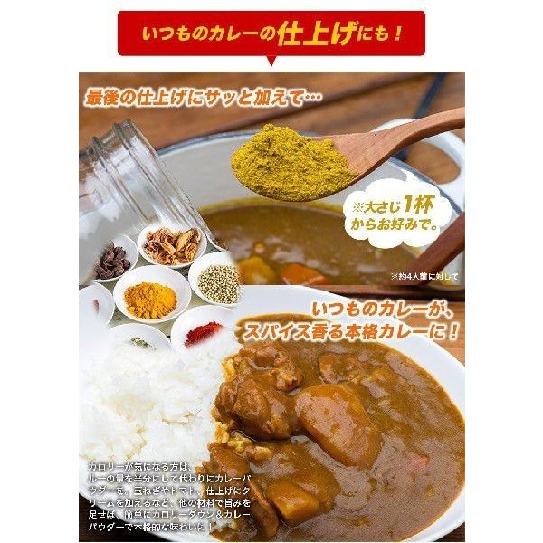 【限定クーポンで20%OFF】神戸 アールティー 南インド カレー粉 カレーパウダー 400g ゆうパケット