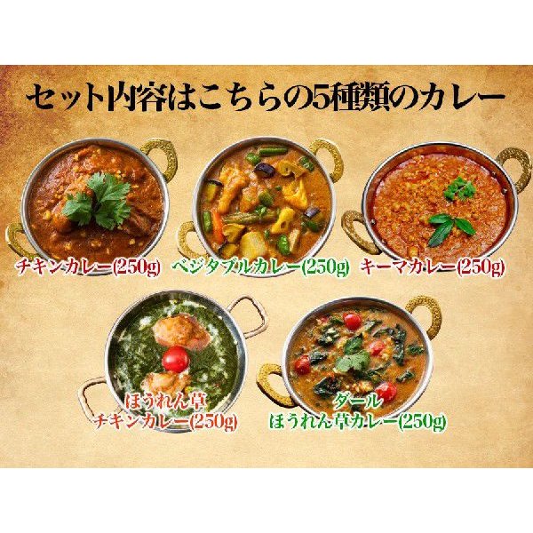 インドカレー 5種類のカレー お試しセット インドカレーの店 神戸