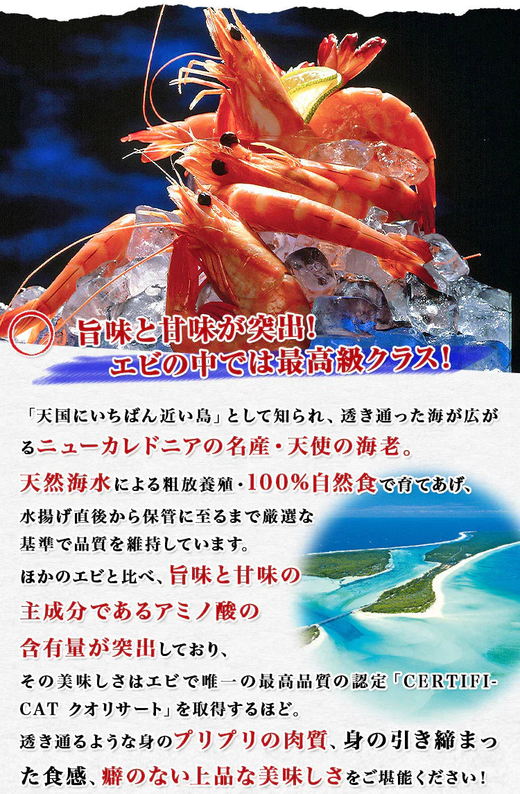 天使の海老 1kg 40~50尾入 送料無料 海老 えび エビ 生食用 刺身 冷凍便 お取り寄せグルメ 食品 ギフト 海鮮