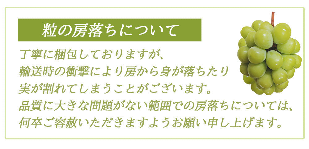 【予約販売 8月1日より順次出荷】シャインマスカット 1kg 1-2房前後 送料無料 ぶどう ブドウ 葡萄 フルーツ くだもの 果物 産地直送 鹿児島県産 ngs-001