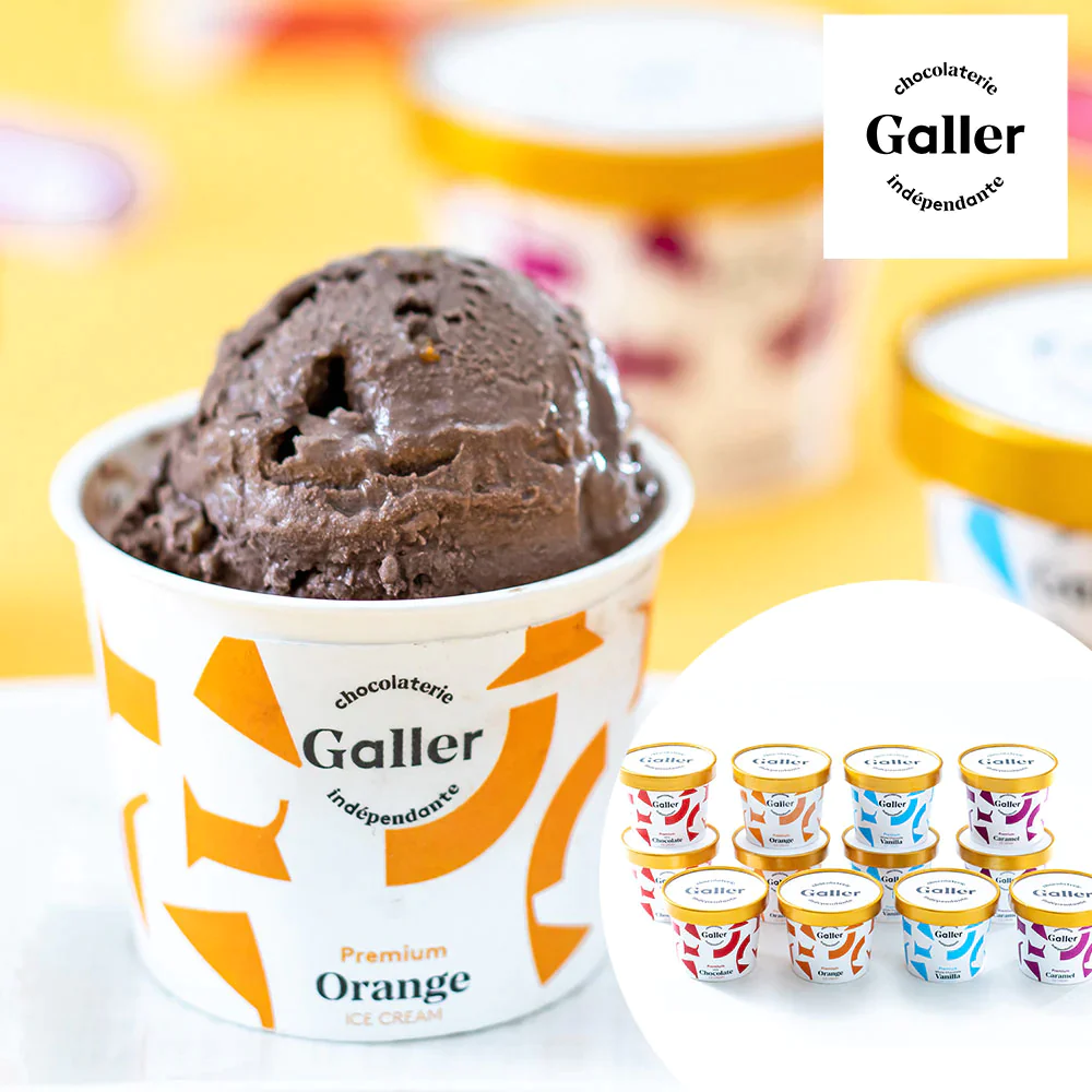 ガレー プレミアム アイスクリーム 12個セット※ チョコにこだわるベルギー王室ご用達ガレー監修 チョコレートアイスクリーム 詰合せ