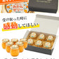 まるごと みかんゼリー フルーツギフト 熊本 小玉みかん 使用 ミカンゼリー 送料無料 果物 スイーツ セット おしゃれ かわいい《7-14営業日以内に発送予定(土日祝日除く)》