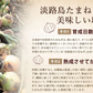 30本入り(30食分) 淡路島たまねぎスープ