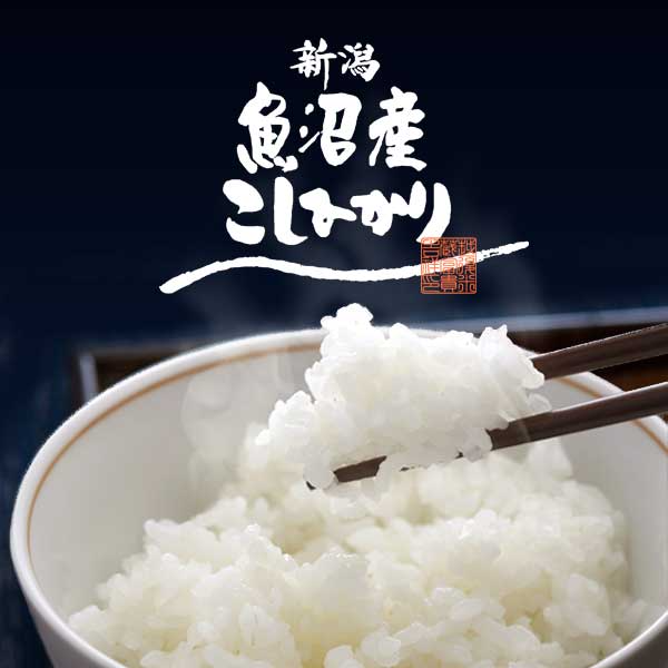 【新潟米 令和3年産】南魚沼 塩沢産コシヒカリ 魚沼の極み 白米 5kg (5kg×1袋) 特選限定米 こしひかり