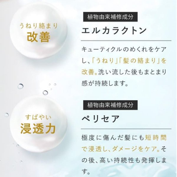 さくらの森【公式】 送料無料 ハーバニエンス シャンプー コンディショナー グリーンローズ ノンシリコン アミノ酸 頭皮ケア 美容室専売 無添加 アミノ酸 ボタニカル くせ毛 低刺激 美容室