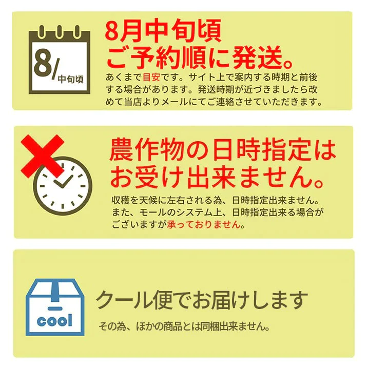 【8月上旬発送】 山形県産 白桃 3kg（約9～11玉前後） 秀品 産地直送の桃 あかつき お供え 川中島白桃 贈答用 ギフト 硬い桃 美晴 クール便発送・同梱不可 日時指定不可 送料無料 果物 フルーツ【エコ得SALE】