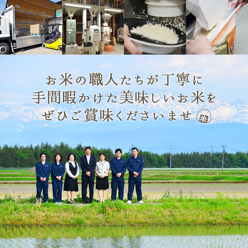【限定クーポンで20%OFF】雪若丸 無洗米 10kg (5kg×2袋) 山形県産 令和3年産 送料無料 10キロ 米 こめ コメ お米 精米 新米