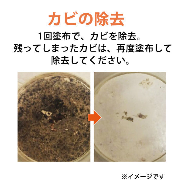 Mold ZERO モールドゼロ 強力カビ取り除菌剤 500ml