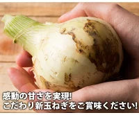 【予約商品 5月発送分 】＃淡路新玉ねぎ【訳あり】10Ｋ＃