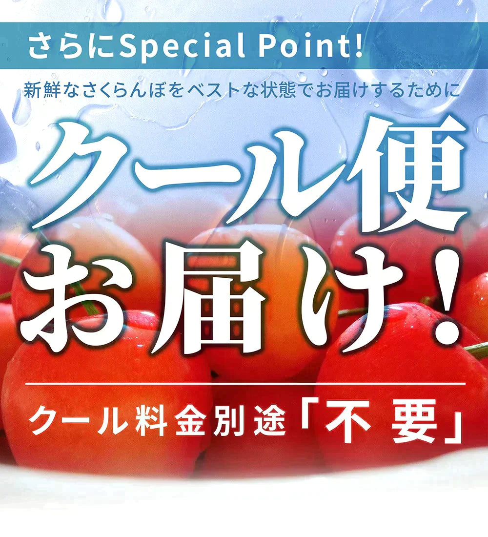 【6月下旬発送】 さくらんぼ 1kg お徳用 佐藤錦 or 紅秀峰 他 山形県産 バラ詰めお一人様2箱まで 家庭用 数量限定 産地直送 訳あり サイズ混合 送料無料 ※遠方へは別途送料がかかります 品種の指定はできません 果物 大特価【エコ得SALE】