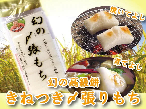 【送料込み】新潟県南魚沼市 舘野さん幻の〆張り餅 450g(10枚入)1パック生産者保証餅
