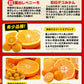 【新年シェア買いセール】みかん 福袋 5kg 前後 送料無料【高級フルーツが当たるかも】訳あり 熊本みかん ぽんかん デコポン マスク メロン 不知火 デコみかん など 食べ比べ セット 旬 柑橘 果物 食品 グルメ フルーツ 予約