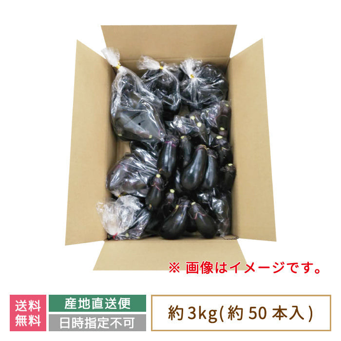 お得用 なす 約3kg (約50本入り) * (クール便)