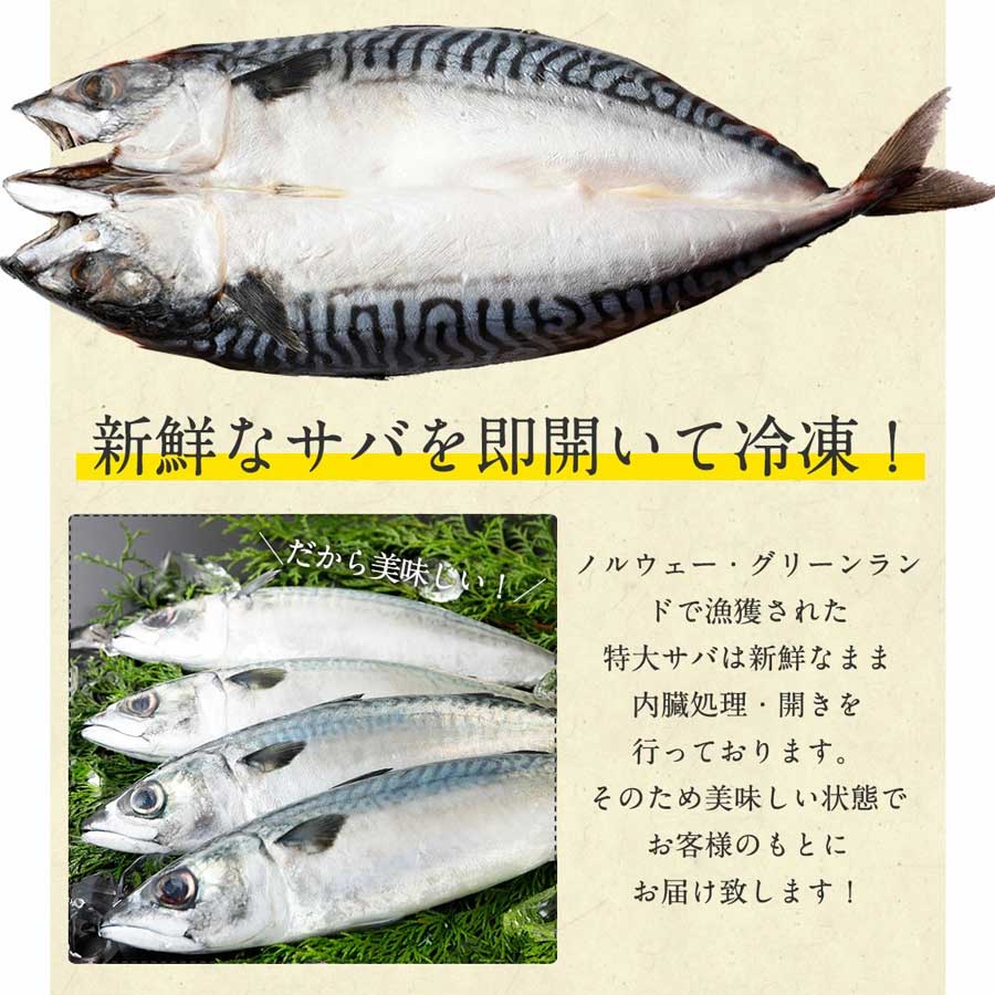 さば 開き 頭付 背開き 900g 450g×2枚 EPA DHA 豊富 青魚