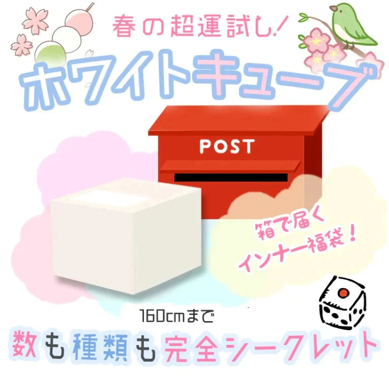 【150cm男の子】インナー肌着が入った福箱のミニサイズ版 「 ホワイトキューブ 」福袋肌着