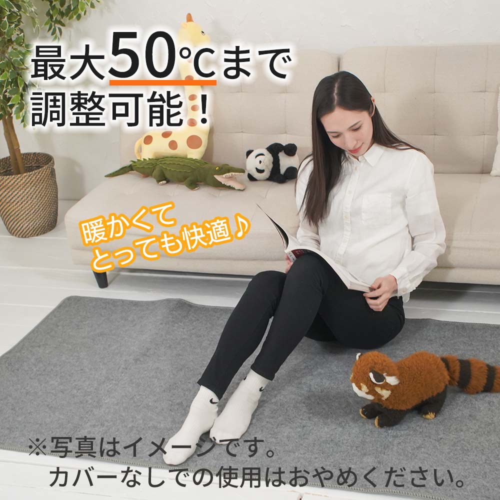 足元暖房 電機ホットカーペット 1畳相当 176×88cm