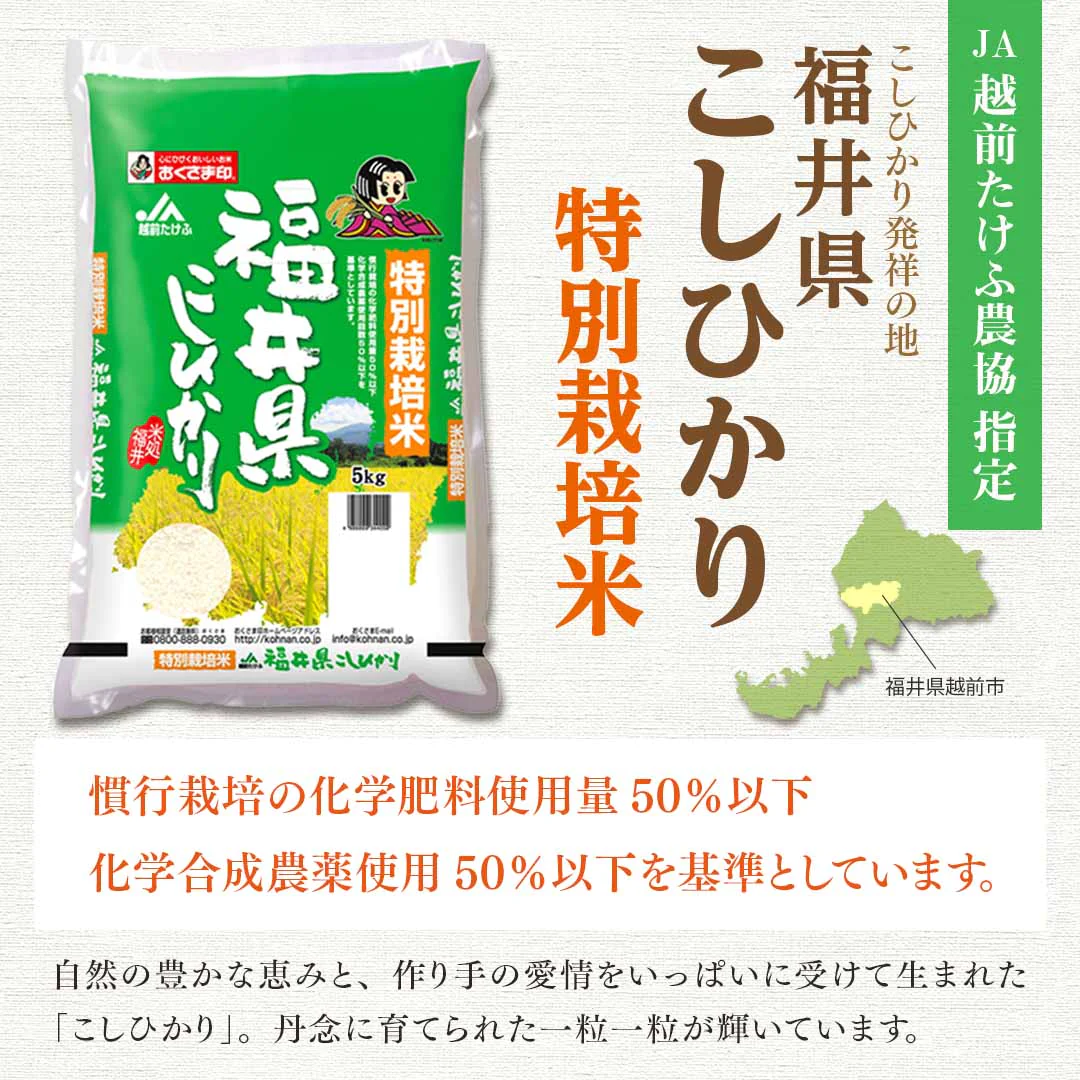 米 精米 福井県産 特別栽培米 こしひかり 10kg (5kg×2) 令和5年産 新米 お米 白米 おくさま印 国産 食品 ギフト 引っ越し 挨拶 出産 内祝い 母の日 父の日 お中元 お歳暮 結婚 快気 還暦 香典返し お年賀 送料無料