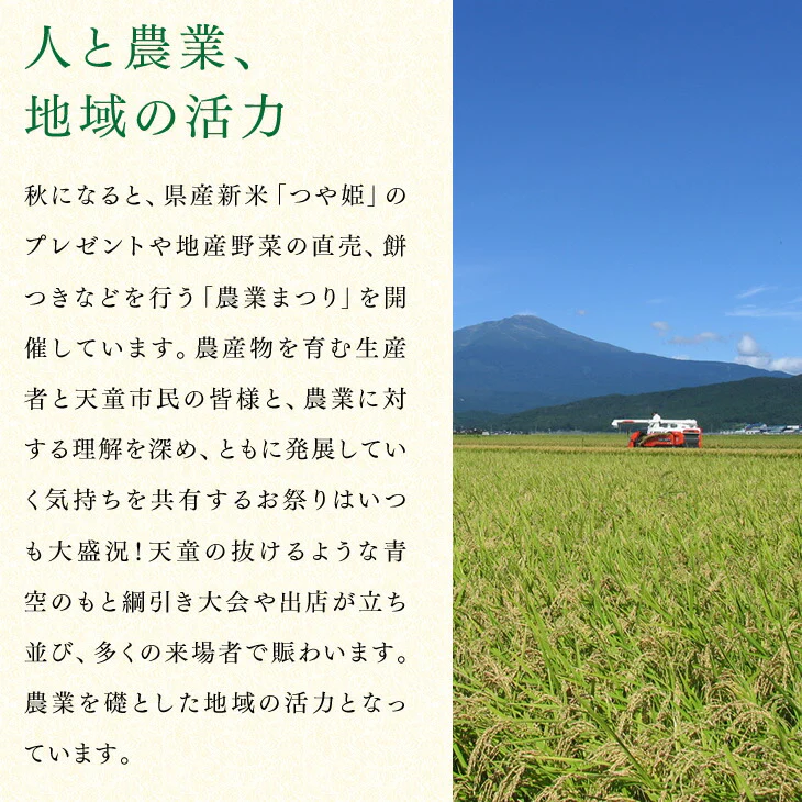 予約商品 訳あり 山形県産 白桃 品種おまかせ約2kg(玉数おまかせ) ※一部地域は別途送料 果物 8月下旬〜9月上旬発送 フルーツ　pc05