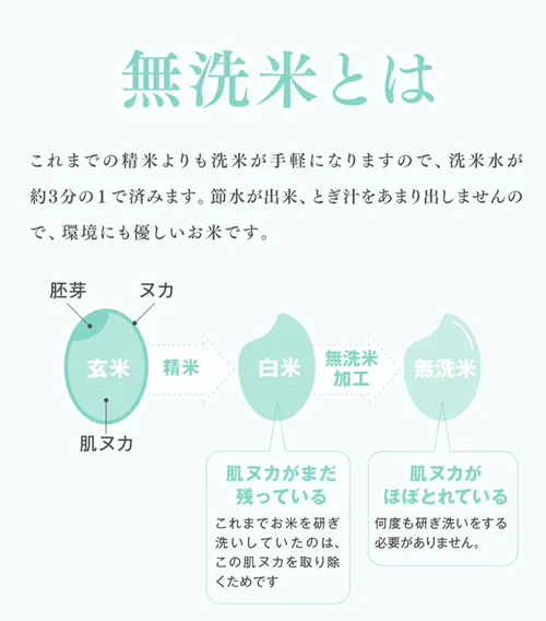 令和4年産 山形県産 はえぬき無洗米10kg(5kg×2) ※一部地域は別途送料追加 お米 コメ 米 JA rhm1004