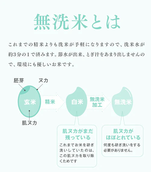 令和4年産 山形県産 はえぬき無洗米10kg(5kg×2) ※一部地域は別途送料追加 お米 コメ 米 JA rhm1004【家計お助けSALE】