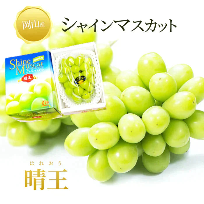 【超得ハイパーSALE】【9月上旬順次発送】送料無料 岡山産 シャインマスカット 晴王 訳あり 1房600グラム ぶどう ギフト お供え プレゼント 贈り物 お土産 シャインマスカット晴王