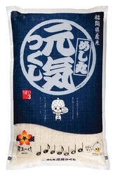 【100円シェア買い】九州産 米 福岡県産元気つくし 2合小袋パック　 研ぐお米 300g×1個 送料無料【ご新規さんとシェア買い】