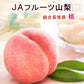 【フルーツ 桃 もも 化粧箱入り】山梨県 ＪＡフルーツ山梨 ハウス栽培組合長推奨の 桃(白鳳系)最高品質 化粧箱6個入り 約1kg送料無料【果物 贈答品 ギフト】