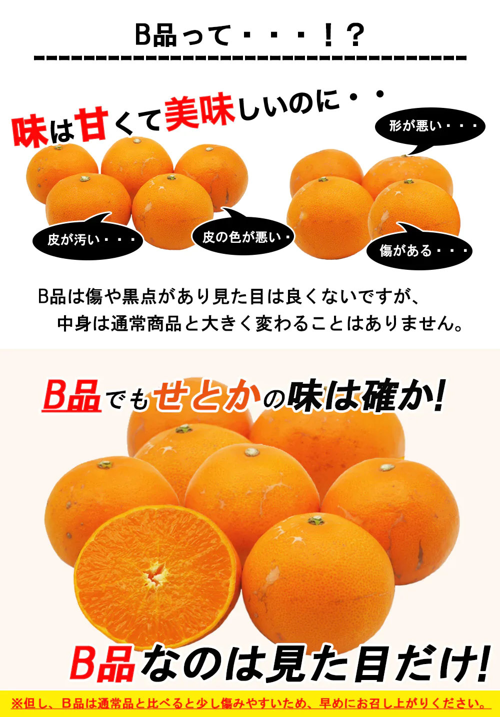 せとか 訳あり みかん 5kg ミカン 蜜柑 サイズミックス 柑橘 フルーツ 果物 くだもの ご家庭用 箱買い 産地直送 愛媛県産 YDF-020