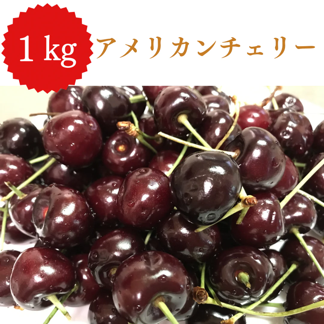 特大サイズ！アメリカンチェリー　【順次発送】