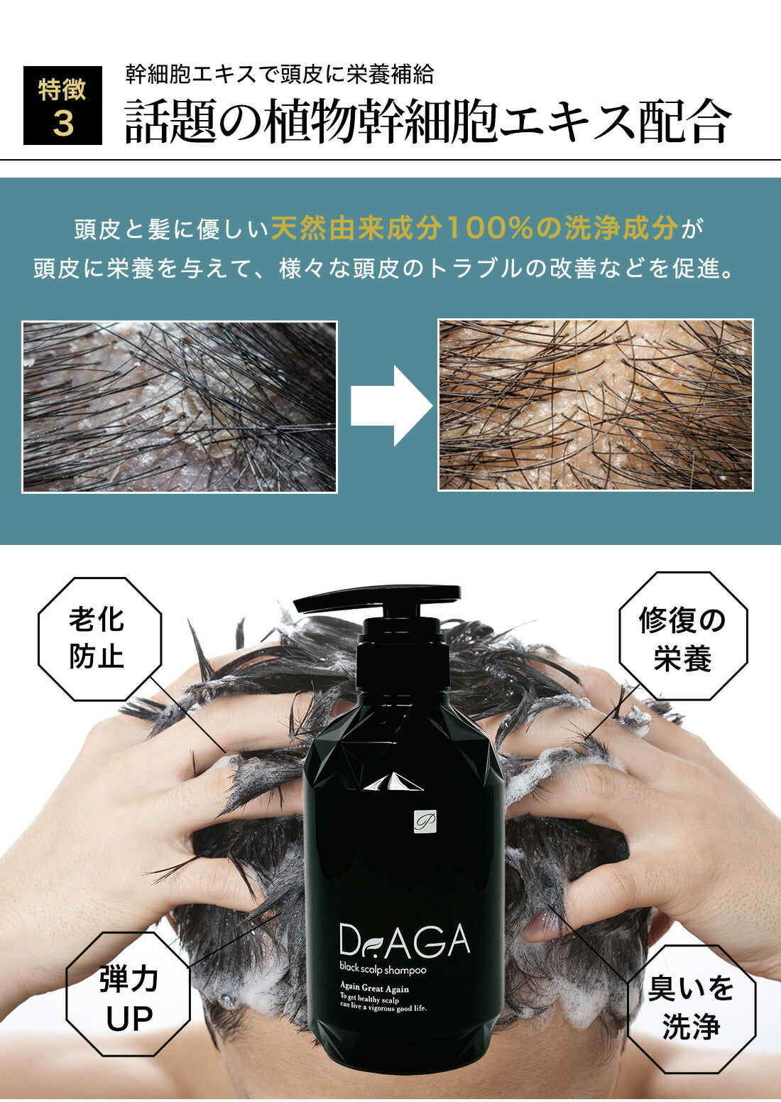 Dr.AGAブラックシャンプー