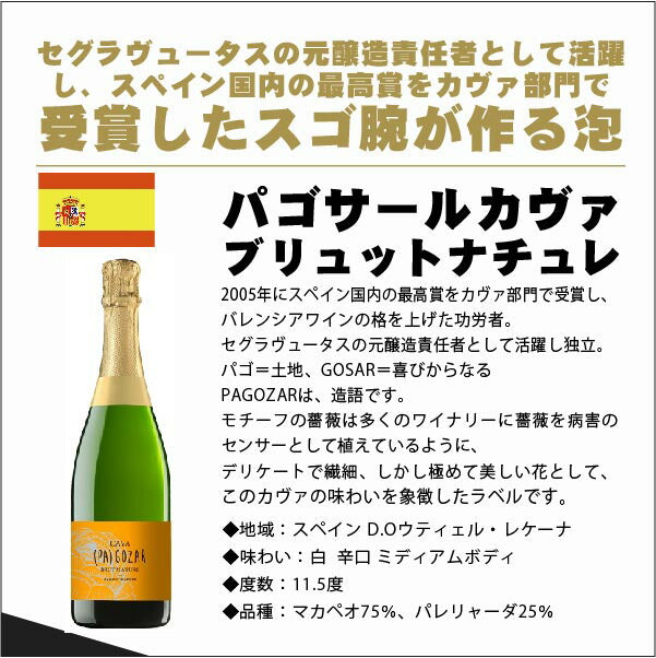 【送料無料】キング オブ スパークリングワインセット [750ml×10本]スパーク 白 泡 ギフト【北海道・東北・四国・九州・沖縄県は必ず送料がかかります】