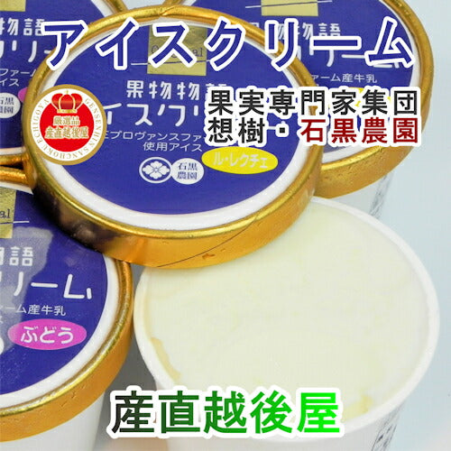 【乳製品 アイスクリーム ジェラート】新潟県 三条市 想樹果物物語 アイスクリーム店長お勧め120ml詰合せ 6個セット送料無料【贈り物 贈答品 ギフト】