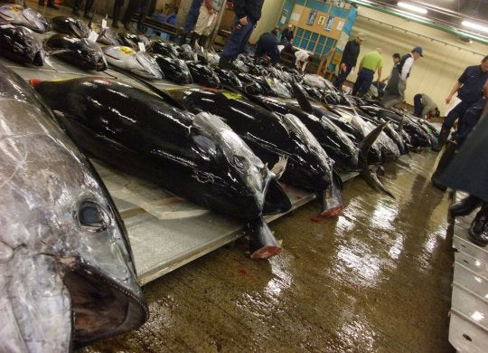 300g 生本マグロ赤身