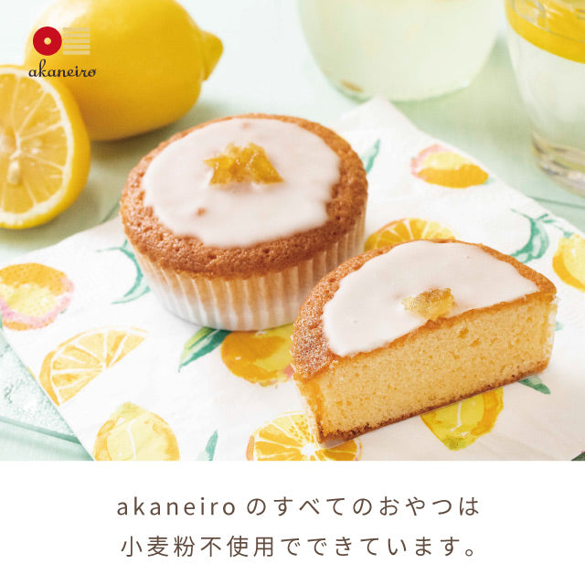 レモンケーキakaneiroアカネイロ佐賀県産宝韶寿レモン使用レモンケーキ6個入りギフト11月末で販売終了