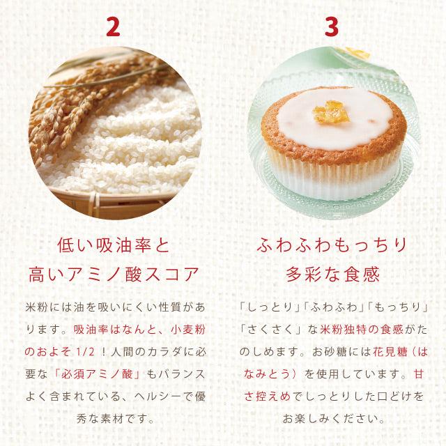 レモンケーキakaneiroアカネイロ佐賀県産宝韶寿レモン使用レモンケーキ6個入りギフト11月末で販売終了