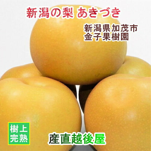 【フルーツ 和梨 あきづき梨 送料無料】新潟県 加茂市 金子果樹園新潟の樹上完熟梨 あきづき梨 5kg（9～12個)厳選した梨 化粧箱入り【お取り寄せ なし 果実 贈答品 ギフト】
