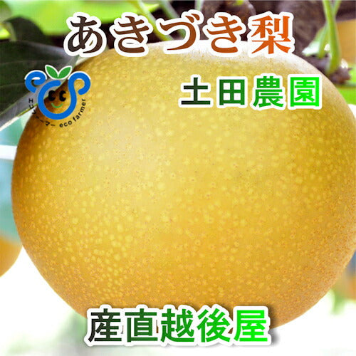 【フルーツ 梨 和梨 あきづき 送料無料】新潟県 エコファーマー認定農園 土田農園 有機栽培 あきづき梨 贈答用 5kg(7個～12個）樹上完熟梨【なし 贈答品 プレゼント】