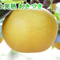 【フルーツ 梨 和梨 あきづき 送料無料】新潟県 エコファーマー認定農園 土田農園 有機栽培 あきづき梨 贈答用 10kg(14個～24個）樹上完熟梨【なし 贈答品 プレゼント】