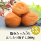 紀州南高梅 梅干し 減塩 はちみつ 500g 和歌山県産 梅干 うめぼし 蜂蜜 減塩 低塩分 常温便 同梱不可 お取り寄せグルメ 食品 ギフト【特産品・ご当地特集】