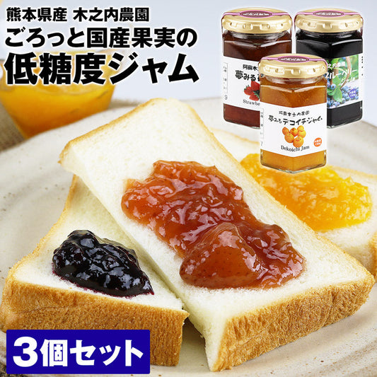 国産果実 低糖度ジャム 3種セット 3個入り 熊本県産 手作り いちご ブルーベリー 不知火 常温便 同梱不可 お取り寄せグルメ 食品 ギフト