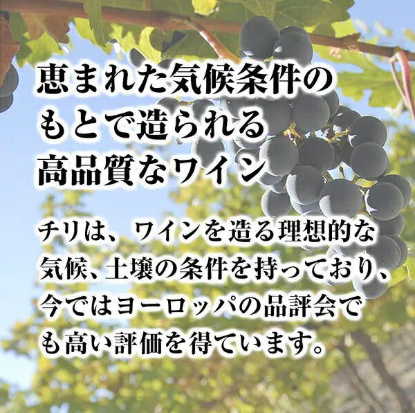 【送料無料】ワイン セット選べるアルパカセットよりどり 12本 750ml×12本【北海道・沖縄県・東北・四国・九州地方は必ず送料がかかります】