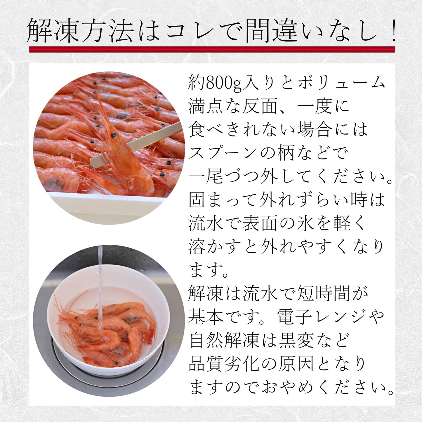 日本海産お刺身用 甘えび 800g前後 約55尾入