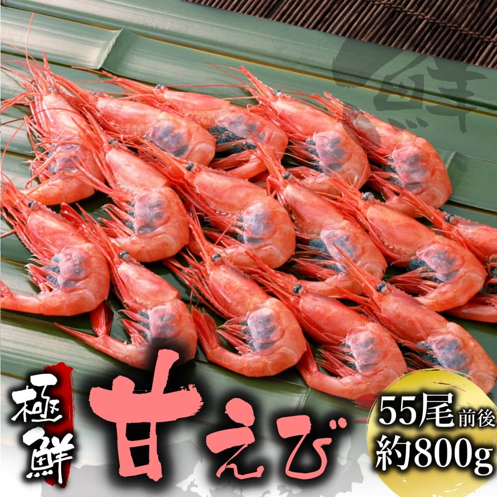 日本海産お刺身用 甘えび 800g前後 約55尾入