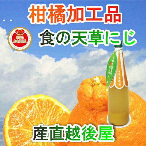 【フルーツ みかん 晩柑 調味料】熊本県 天草市 食の天草にじ天草ストレートジュース 180ml 2本晩柑・デコジュース各1本 専用箱入り送料無料【ミカン 果実 ギフト 贈答品】