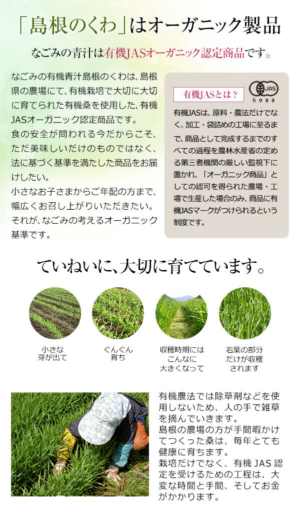 有機JAS オーガニック青汁 島根のくわ (桑) 粉末100g 約50日分 m3 【送料無料】 【 国産 食物繊維 食黄色野菜 葉酸 粉末 マタニティ 】