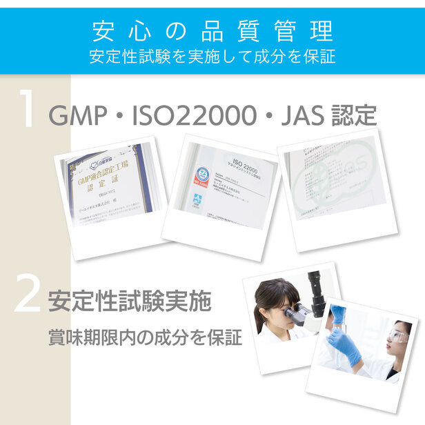 長命草・桑ノ葉 青汁粒  1袋 1カ月分 [ボタンボウフウ 牡丹防風 サクナ 無農薬 国産 血糖値 青汁 粒 クロロゲン酸 ダイエット 頻尿 花粉症 便秘 マグネシウム 亜鉛 肝臓 美容 鉄分 錠剤 タブレット ビタミン]